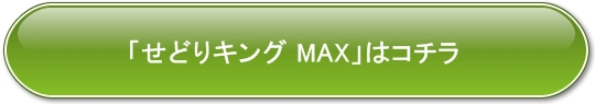 ǂLO MAX J[g