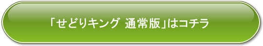 ǂLO ʏ J[g